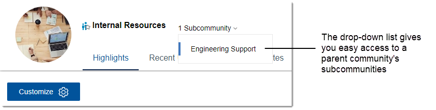 Screenshot of the drop-down list for subcommunities within a community