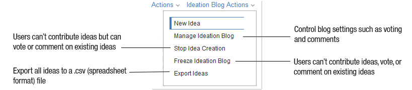 Options for managing an ideation blog