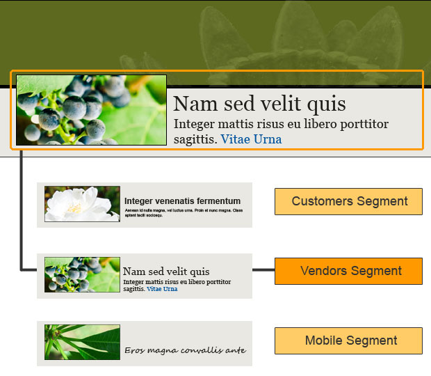 When you click each link, each box highlights. A header and three boxes Customers Segment, Vendors Segment, which is highlighted, and Mobile Segment.