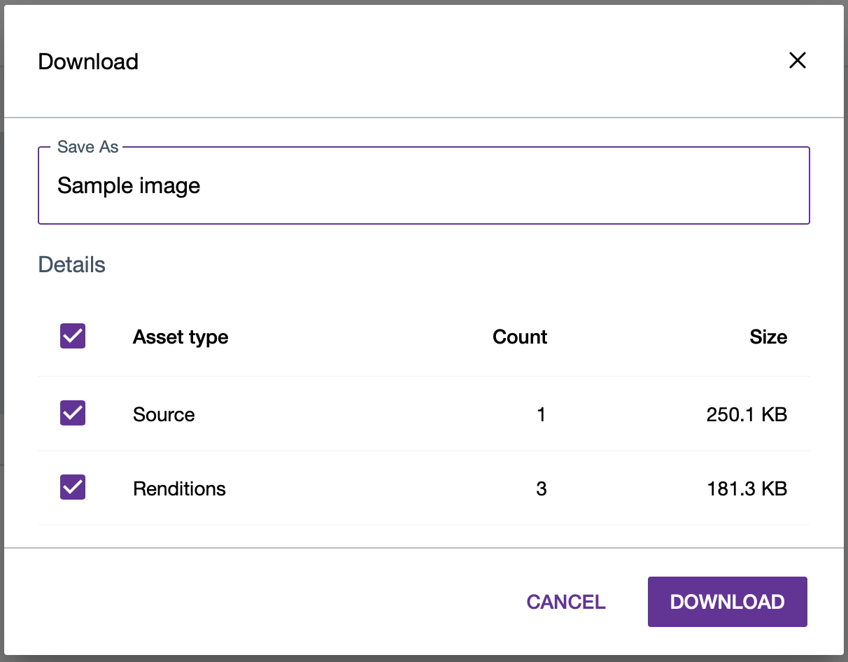 Download media asset and renditions