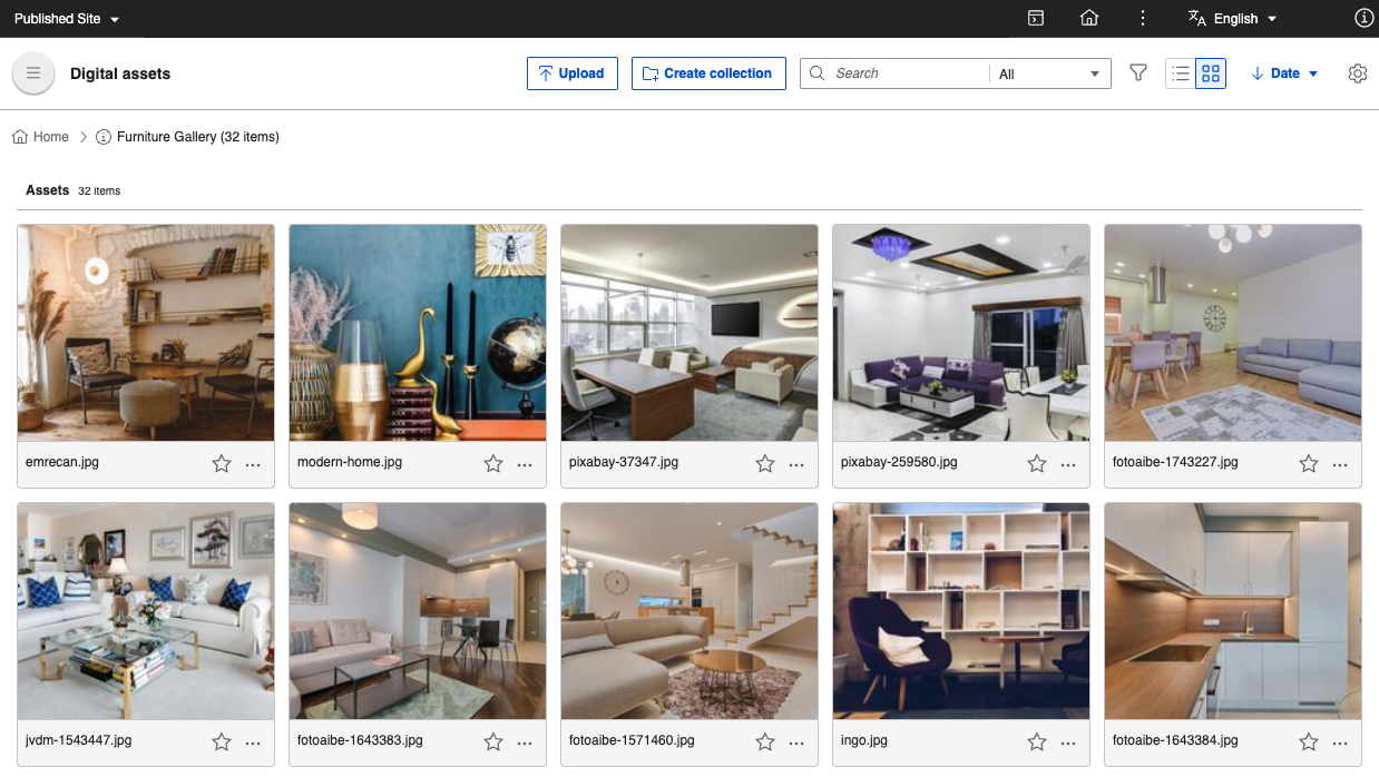 DAM - Collections View