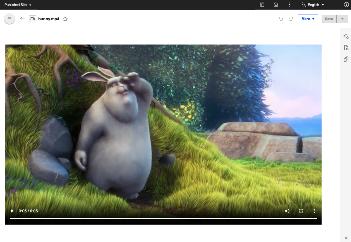 Using the DAM binary URL to play a video