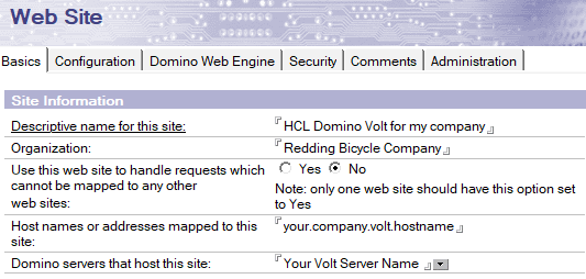 image of the Domino website basics config tab